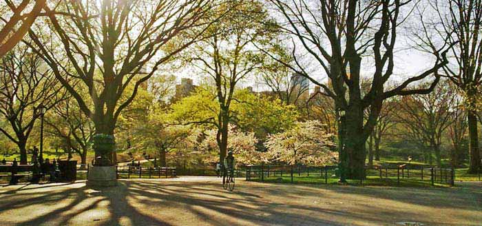 Central Park